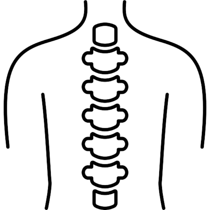 Coluna Vertebral